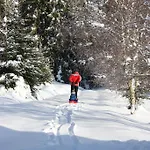 ファームステイ Goralska Wojtasowka Kamesznica