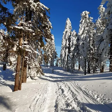 Góralska Wojtasówka Kamesznica