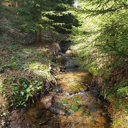 Goralska Wojtasowka