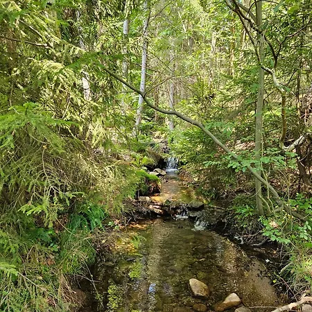 팜스테이 Goralska Wojtasowka *