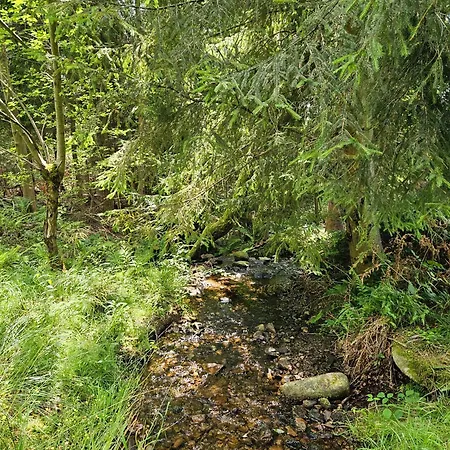 Góralska Wojtasówka Kamesznica