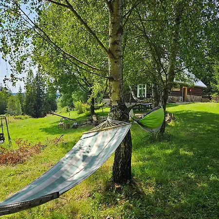 Góralska Wojtasówka