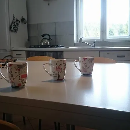 Goralska Wojtasowka Farmház