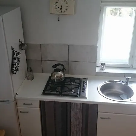 Goralska Wojtasowka Farmház