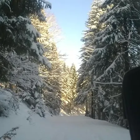 Goralska Wojtasowka Farmház Kamesznica