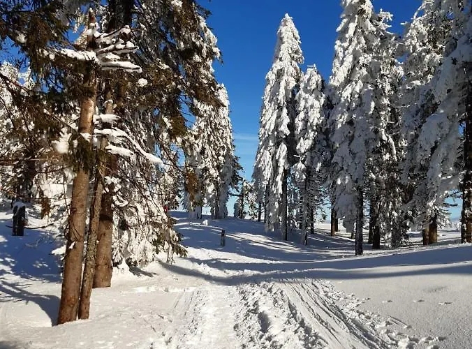 Goralska Wojtasowka Kamesznica