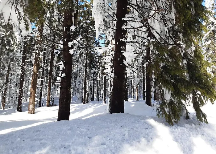 Goralska Wojtasowka בית חווה *