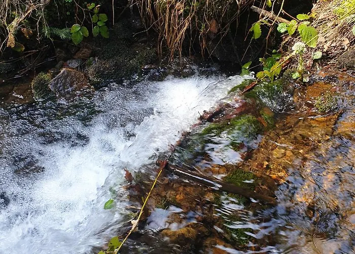 Goralska Wojtasowka 팜스테이