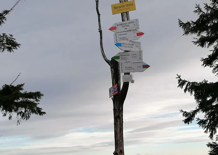 Goralska Wojtasowka 팜스테이 *