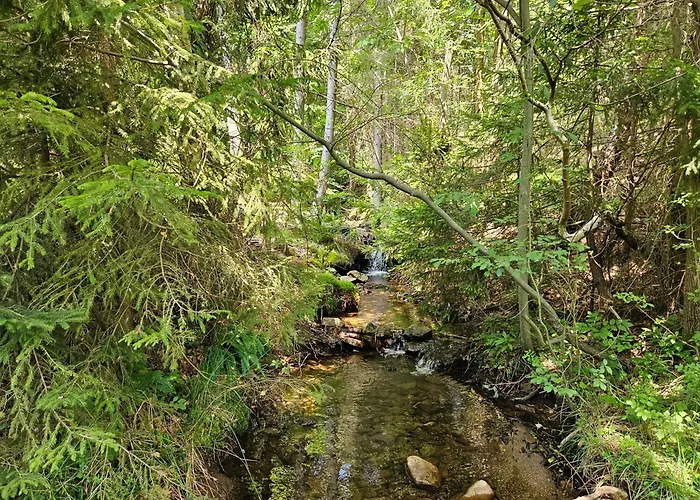 팜스테이 Goralska Wojtasowka *