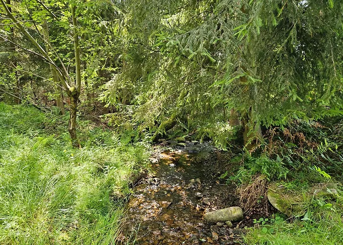 Goralska Wojtasowka Kamesznica