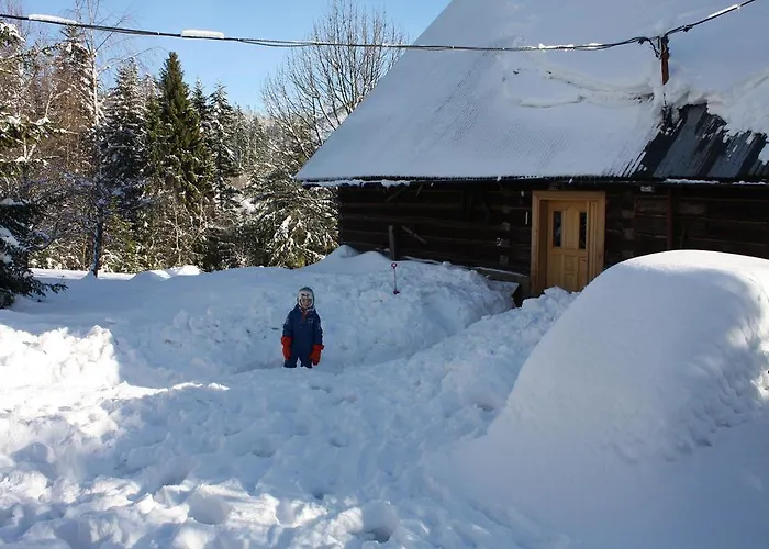 팜스테이 Goralska Wojtasowka Kamesznica