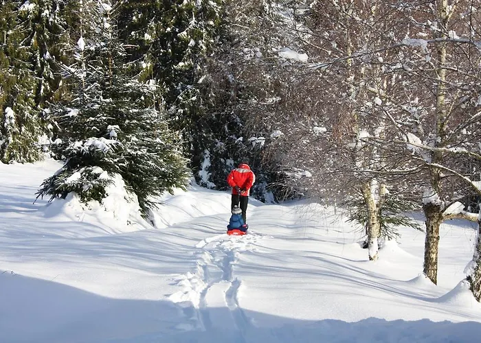 Agroturismo Góralska Wojtasówka Kamesznica