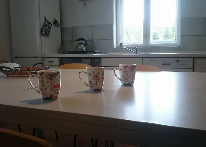 Goralska Wojtasowka 팜스테이