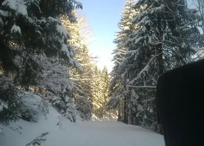 Goralska Wojtasowka בית חווה Kamesznica